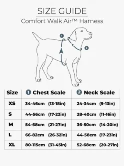 Harnais Violet pour chien - Comfort Walk Air 3.0 - DOG Copenhagen