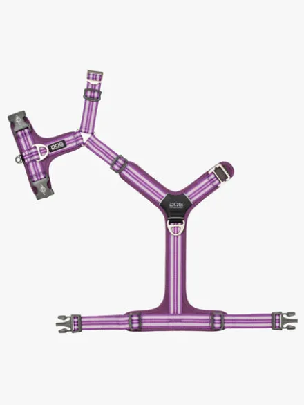 Harnais Violet pour chien - Comfort Walk Air 3.0 - DOG Copenhagen