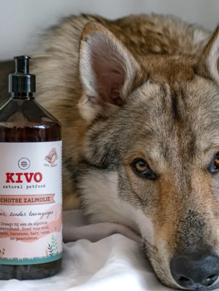 Huile de Saumon pour chien et chat - Beauté du pelage