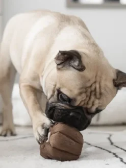Jeu de fouille interactif pour chien - Cannelé
