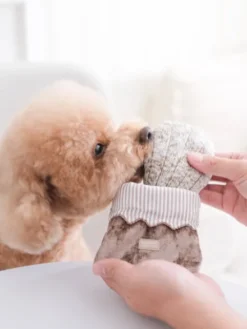 Jeu de fouille interactif pour chien - Macaron et Madeleine