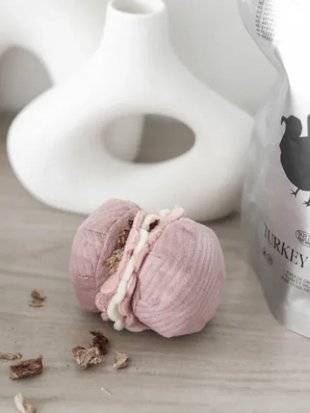 Jeu de fouille interactif pour chien - Macaron et Madeleine