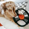 Jeu d'occupation pour chien - Bark To Beat 💿🎵 - Lambwolf Collective