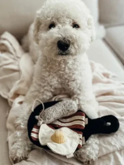Jeu d'occupation pour chien - Breakfast 🍳 - Lambwolf Collective