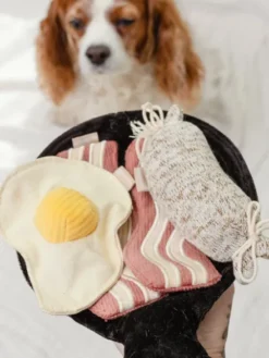 Jeu d'occupation pour chien - Breakfast 🍳 - Lambwolf Collective