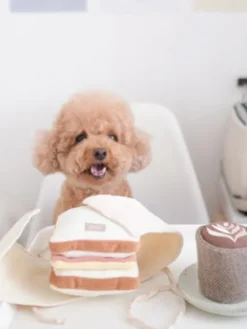 Jeu d'occupation pour chien - Club Sandwich 🥪 - Lambwolf Collective