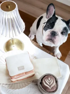 Jeu d'occupation pour chien - Club Sandwich 🥪 - Lambwolf Collective
