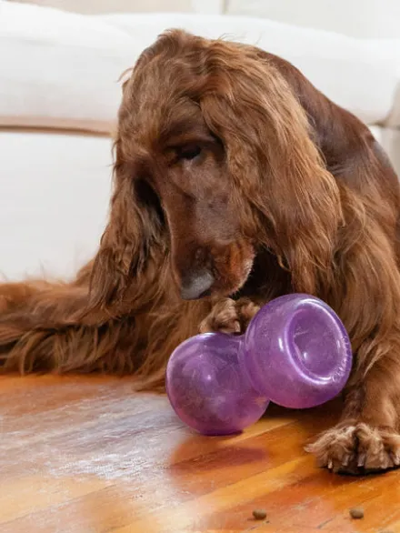 Jeu d'occupation pour chien - Double Snoop violet