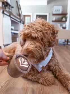 Jeu d'occupation pour chien - Latte POP - Lambwolf Collective