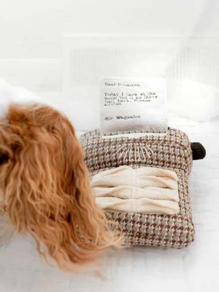 Jeu d'occupation pour chien - Machine à écrire 📜 - Lambwolf Collective (Copie)