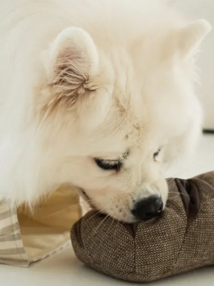 Jeu d'occupation pour chien - Pain complet - Lambwolf Collective