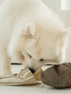 Jeu d'occupation pour chien - Pain complet - Lambwolf Collective