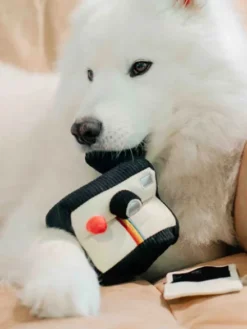 Jeu d'occupation pour chien - Photo instantané - Lambwolf Collective