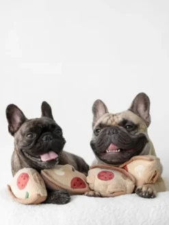 Jeu d'occupation pour chien - Pizza 🍕 - Lambwolf Collective