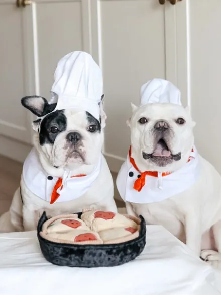 Jeu d'occupation pour chien - Pizza 🍕 - Lambwolf Collective