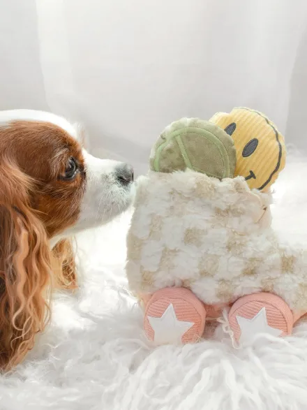 Jeu d'occupation pour chien - Roller Skate 🛼 - Lambwolf Collective
