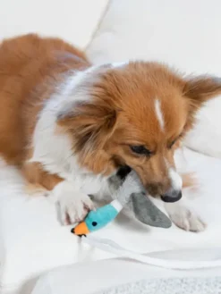 Jeu d'occupation pour chien - Tail Teaser Canne à pêche canard