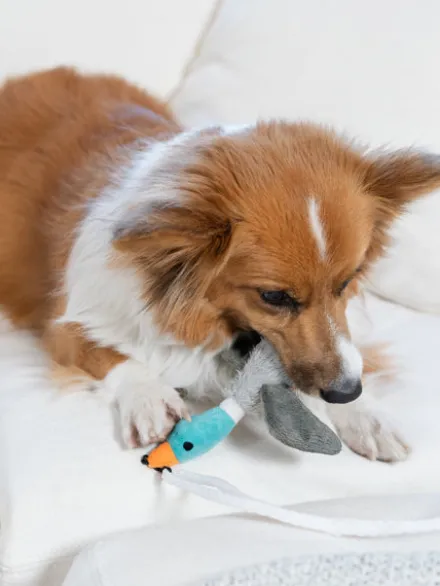 Jeu d'occupation pour chien - Tail Teaser Canne à pêche canard