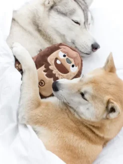 Joey le Bigfoot - Peluche pour chien