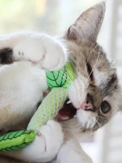 Jouet a mâcher pour chat - Soins des dents - Menthe fraîche