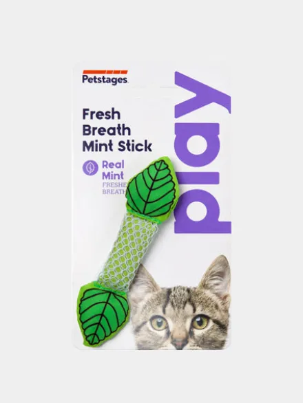 Jouet a mâcher pour chat - Soins des dents - Menthe fraîche