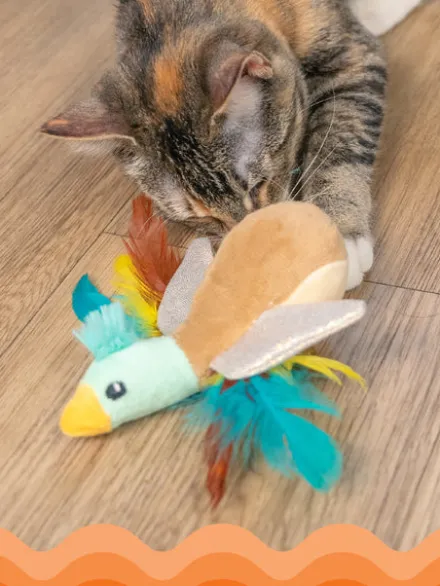 Jouet avec herbe à chat - Canard Flapperz Duck - Catstages