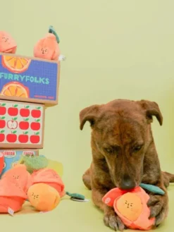 Jouet de fouille et d'enrichissement pour chien - Orange 🍊 - The FurryFolks