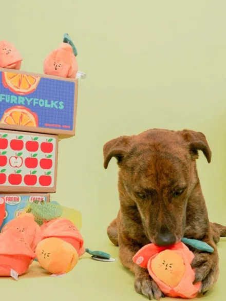 Jouet de fouille et d'enrichissement pour chien - Orange 🍊 - The FurryFolks