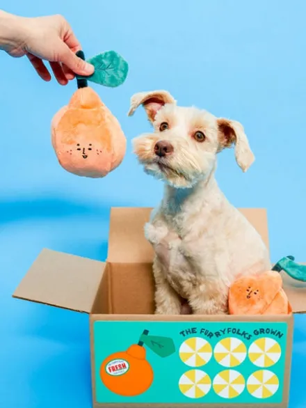 Jouet de fouille et d'enrichissement pour chien - Orange 🍊 - The FurryFolks