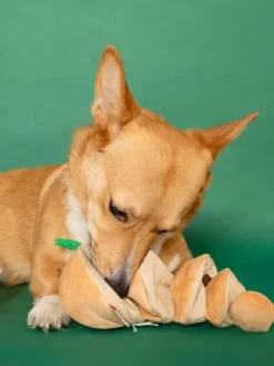 Jouet de fouille et d'enrichissement pour chien - Oignon 🧅 - The FurryFolks