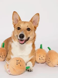 Jouet de fouille et d'enrichissement pour chien - Oignon 🧅 - The FurryFolks