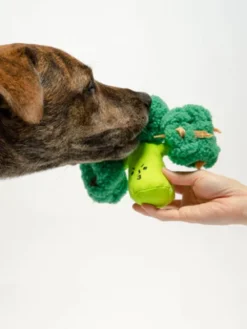 Jouet de fouille et d'enrichissement pour chien - Brocolis - The FurryFolks
