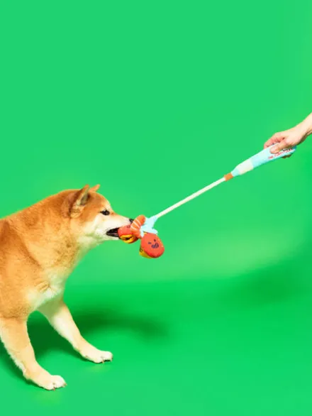 Jouet de fouille pour chien - Canne à Pêche 🎣 - The FurryFolks