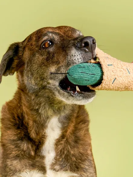Jouet de fouille pour chien - Cornichon 🥒 - The FurryFolks