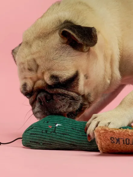 Jouet de fouille pour chien - Cornichon 🥒 - The FurryFolks