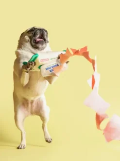 Jouet de fouille pour chien - Doggo Wipes 🐶 - The FurryFolks
