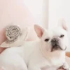 Jouet de fouille pour chien - Escargot 🐌 - Lambwolf Collective