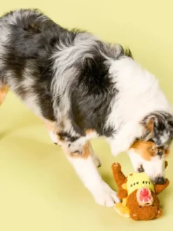 Jouet de fouille pour chien - Ours Happy Bear 🐻 - The FurryFolks