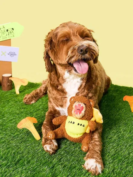 Jouet de fouille pour chien - Ours Happy Bear 🐻 - The FurryFolks