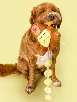 Jouet de fouille pour chien - Ours Happy Bear 🐻 - The FurryFolks