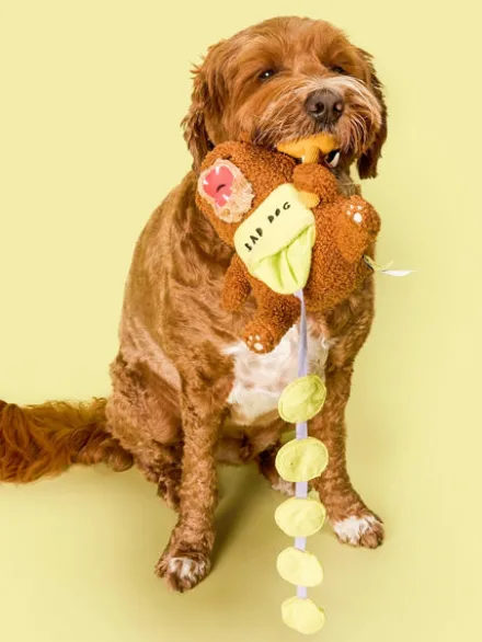 Jouet de fouille pour chien - Ours Happy Bear 🐻 - The FurryFolks