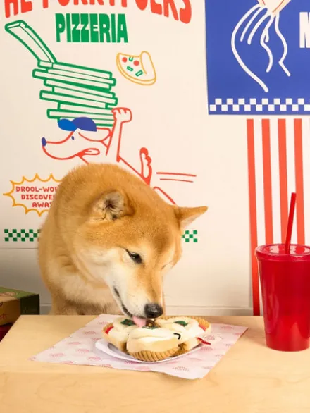 Jouet de fouille pour chien - Pizza 🍕 - The FurryFolks