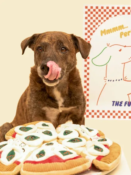 Jouet de fouille pour chien - Pizza 🍕 - The FurryFolks