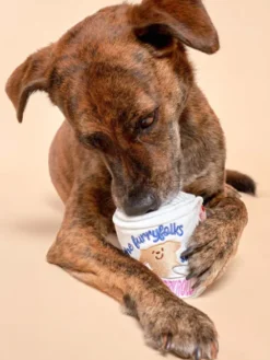 Jouet de fouille pour chien - Rouleau de papier toilette 🧻 - The FurryFolks