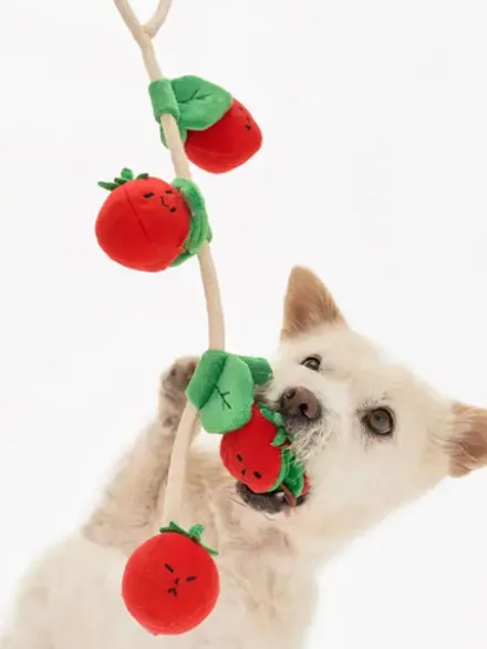 Jouet de fouille pour chien - Tomates cerises - The FurryFolks
