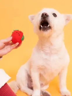 Jouet de fouille pour chien - Tomates cerises - The FurryFolks