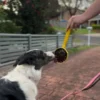 Jouet d'enrichissement pour chien - Lick Stick Honey - SodaPup