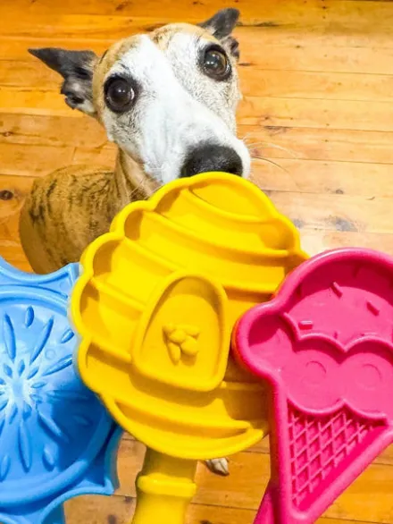 Jouet d'enrichissement pour chien - Lick Stick Honey - SodaPup
