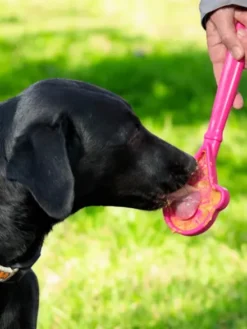 Jouet d'enrichissement pour chien - Lick Stick Ice Cream - SodaPup