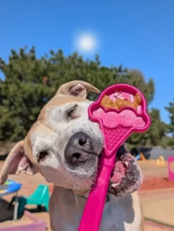 Jouet d'enrichissement pour chien - Lick Stick Ice Cream - SodaPup